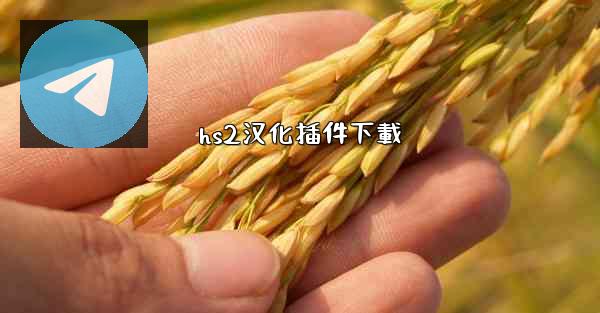 hs2汉化插件下載
