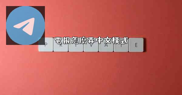 電报怎麼弄中文模式