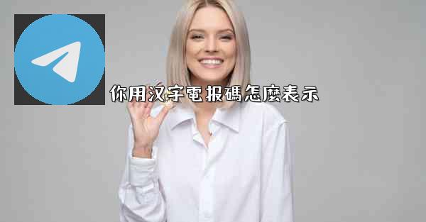 你用汉字電报碼怎麼表示